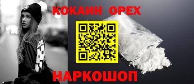 крисы Славгород