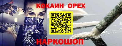 крисы Славгород
