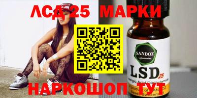 крисы Славгород