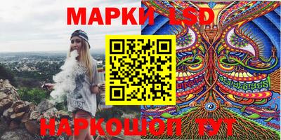 крисы Славгород