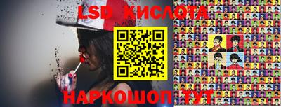 крисы Славгород