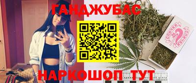 крисы Славгород