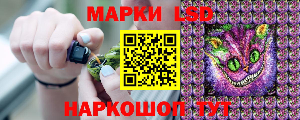 Новоалександровск  Наркотические марки  Вход с VPN  Наркотические марки 1500мкг 
