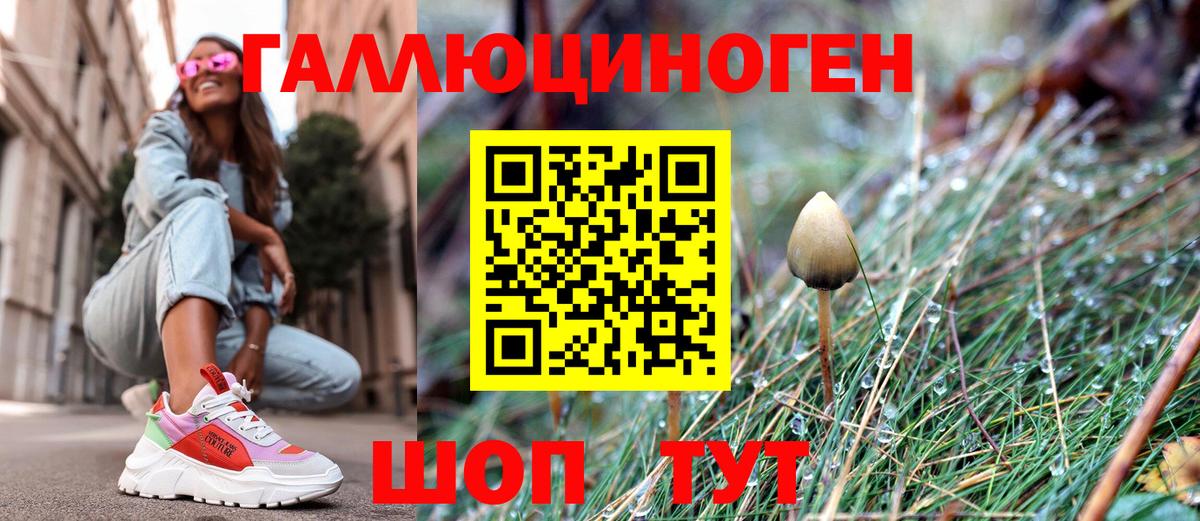Псилоцибиновые грибы MAGIC MUSHROOMS  Вход с VPN  Новоалександровск 