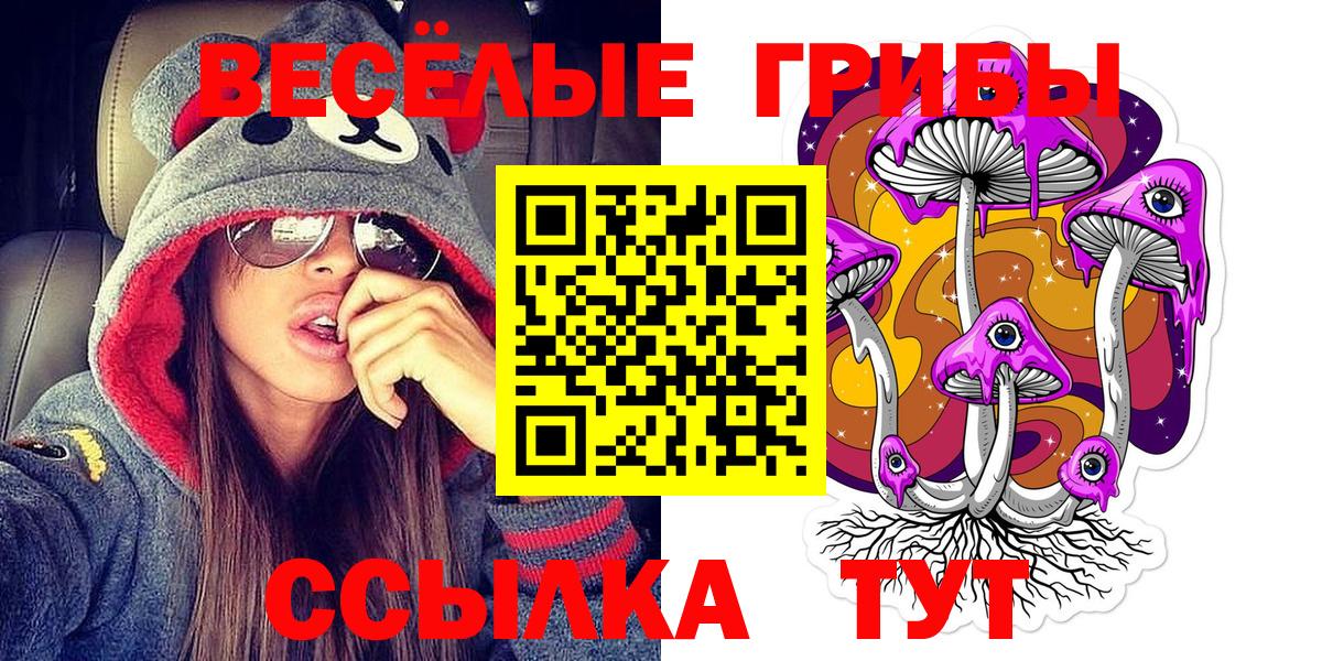 Галлюциногенные грибы Cubensis Новоалександровск